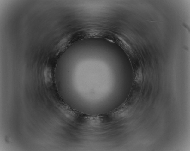 X0000091200524200709061416