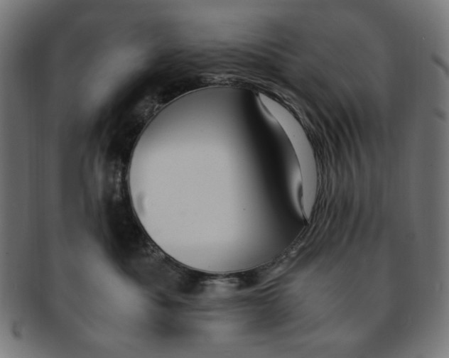X0000091200525200709061415