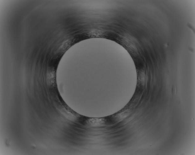 X0000091200526200709061415