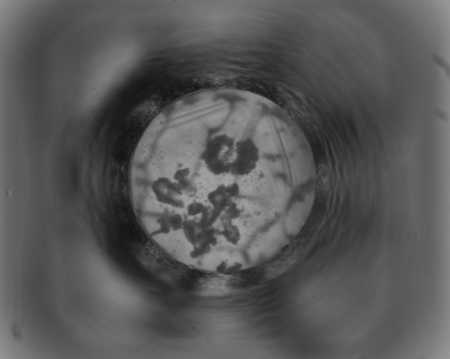 X0000091200527200709061415