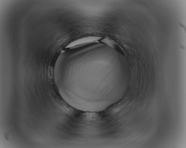 X0000091200528200709061415