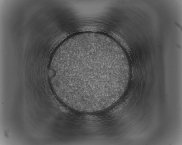 X0000091200529200709061415