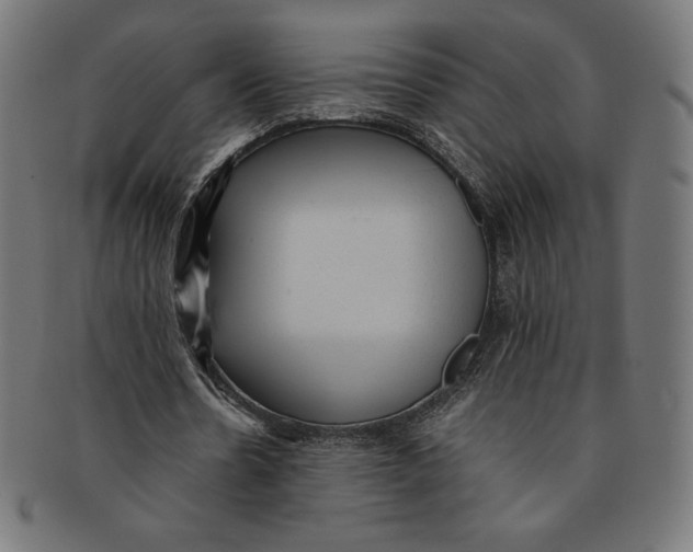 X0000091200530200709061415