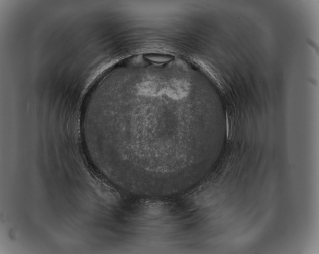 X0000091200531200709061415