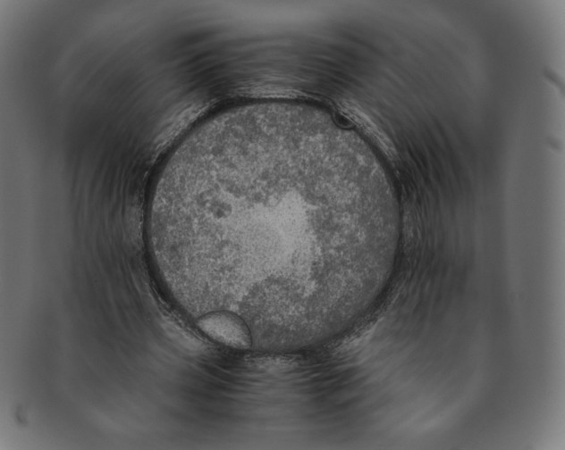X0000091200533200709061415