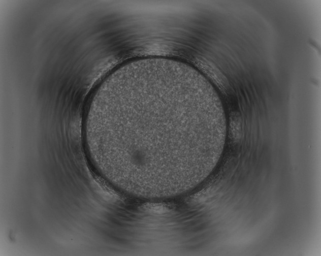 X0000091200534200709061415