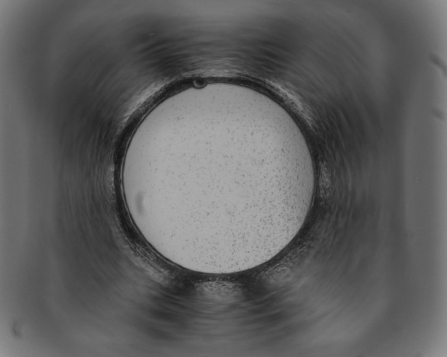 X0000091200535200709061415