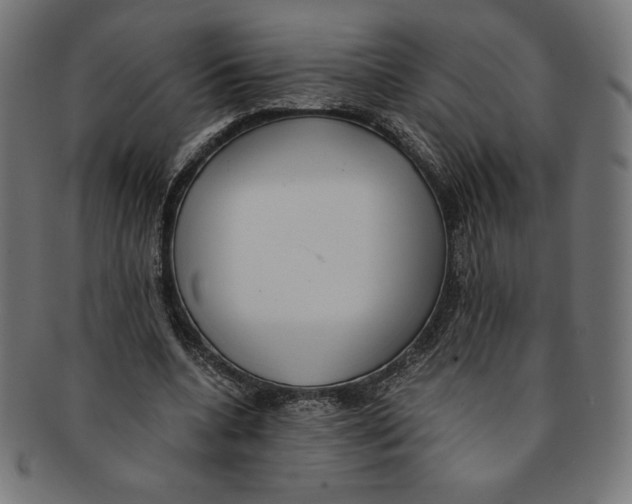 X0000091200536200709061415