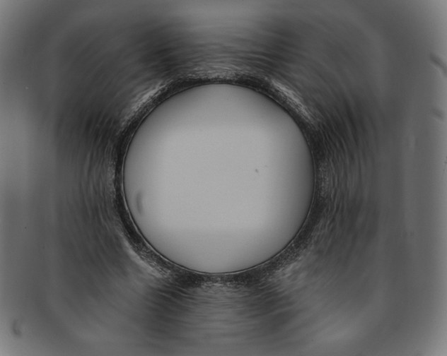 X0000091200538200709061415