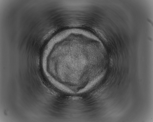 X0000091200539200709061415