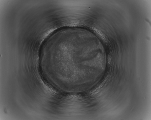 X0000091200540200709061415