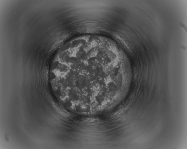 X0000091200542200709061415