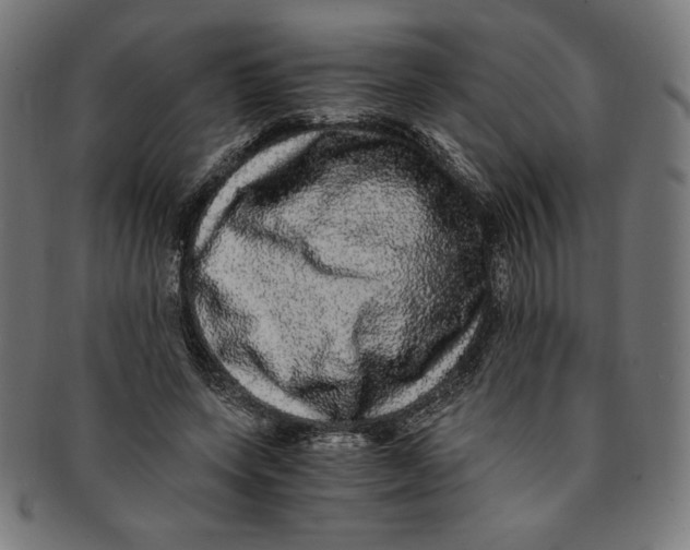 X0000091200543200709061415