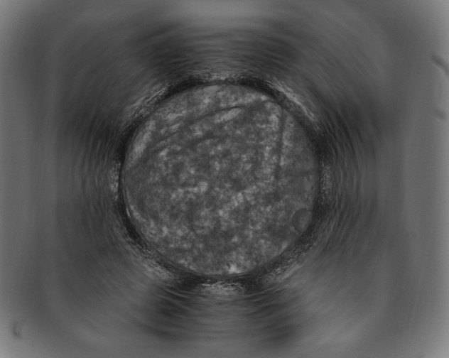 X0000091200545200709061415