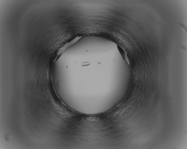 X0000091200546200709061415