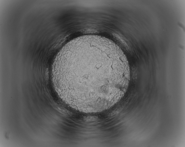 X0000091200549200709061415