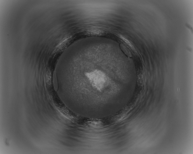 X0000091200552200709061415