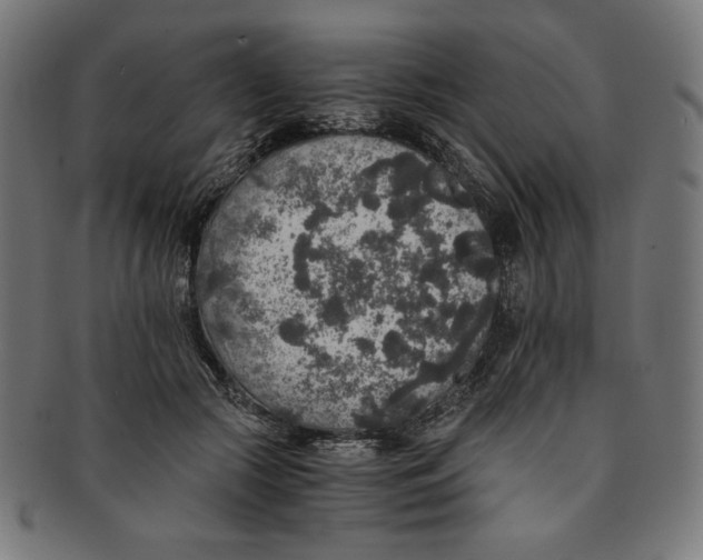 X0000091200553200709061415