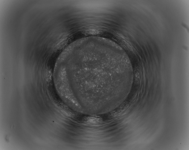 X0000091200555200709061415