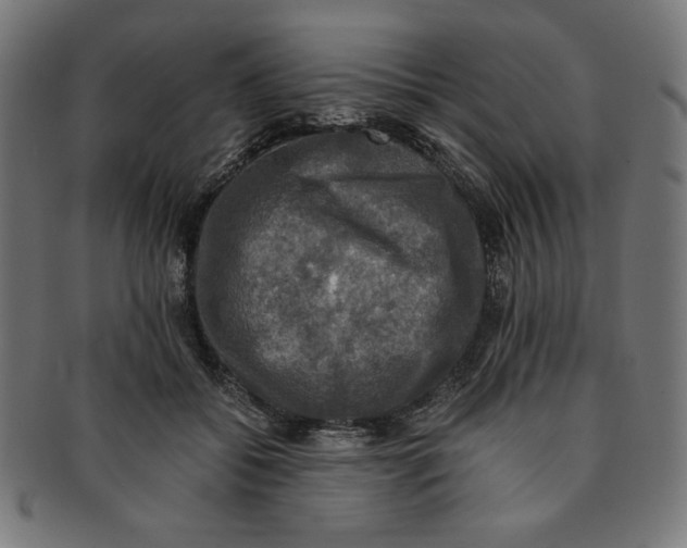 X0000091200556200709061415