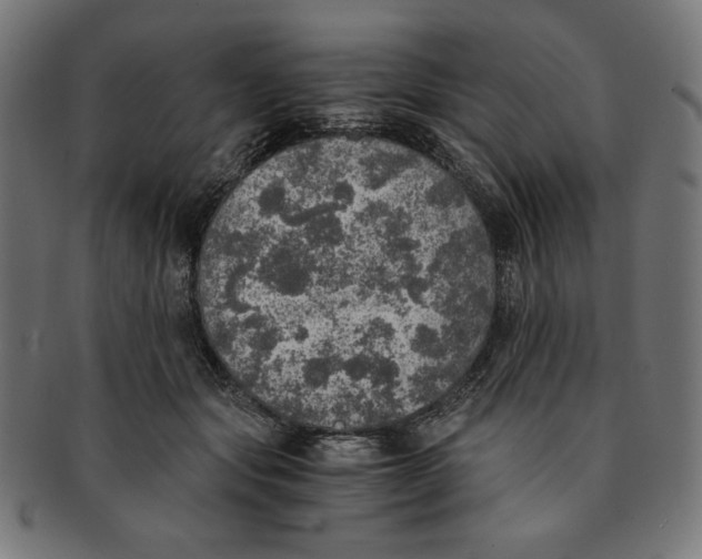 X0000091200557200709061415