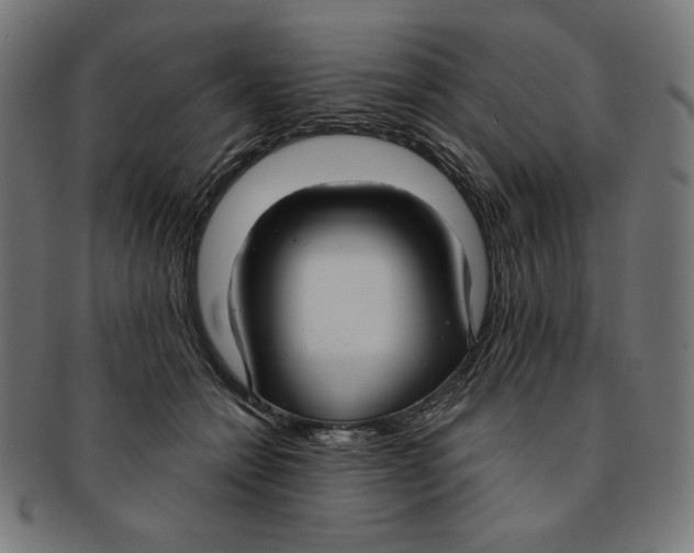 X0000091200558200709061415