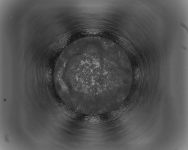 X0000091200559200709061415
