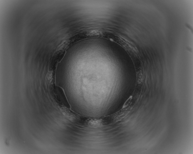 X0000091200560200709061415