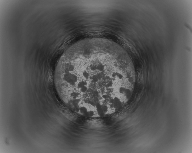 X0000091200561200709061415