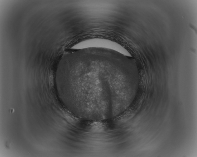 X0000091200562200709061415