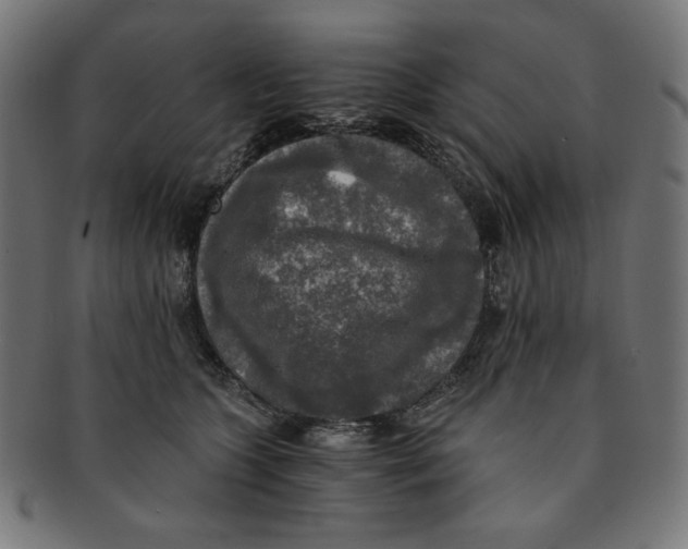 X0000091200563200709061415