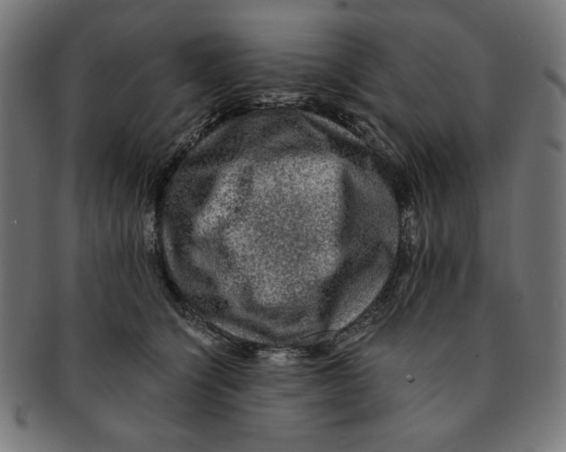 X0000091200564200709061415