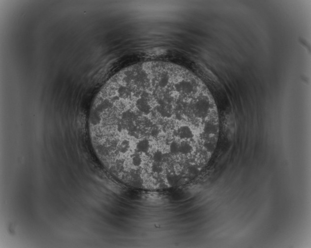 X0000091200565200709061415