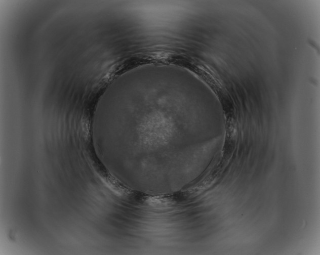 X0000091200568200709061415