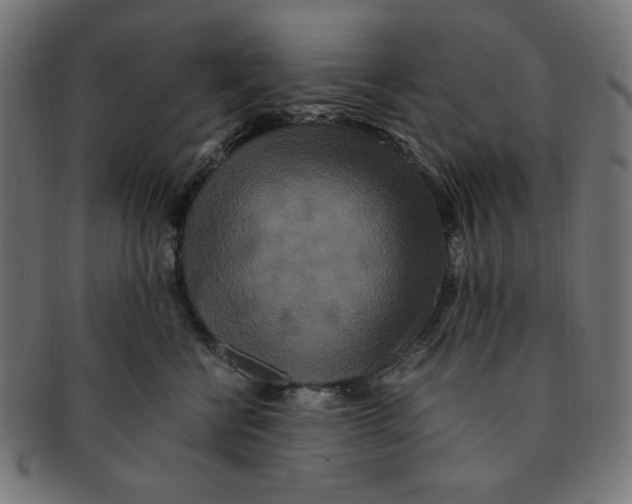 X0000091200570200709061415