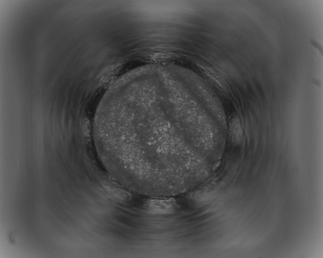 X0000091200571200709061415
