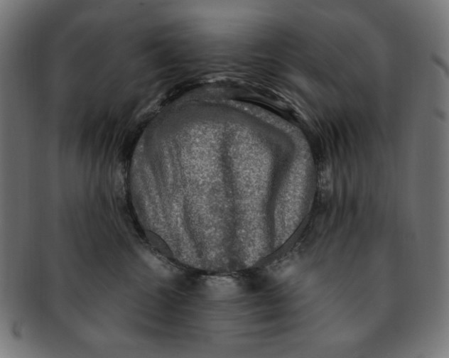 X0000091200572200709061415