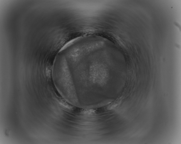 X0000091200576200709061415