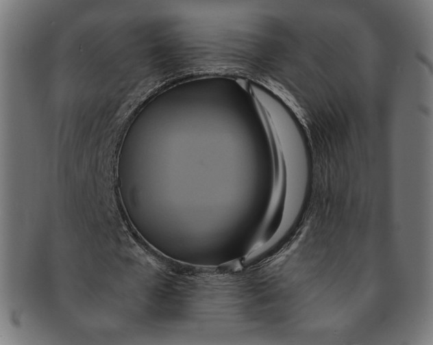 X0000091200577200709061415