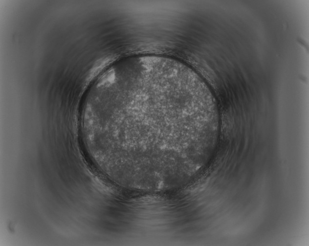 X0000091200578200709061415