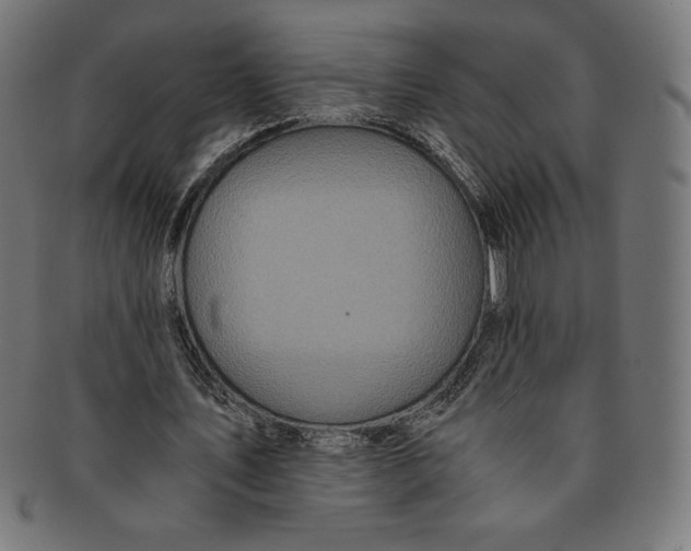 X0000091200579200709061415