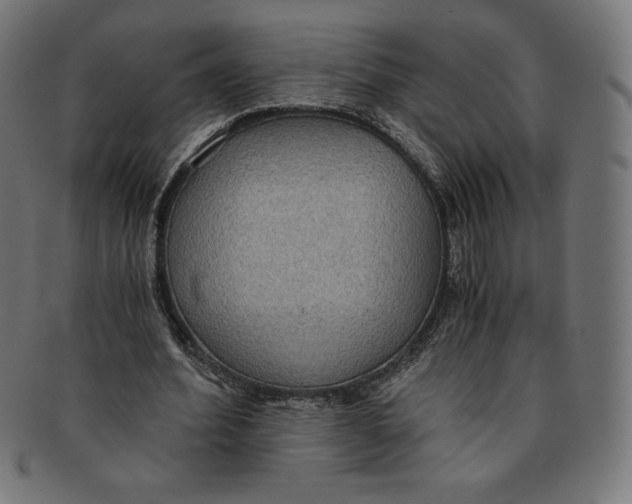 X0000091200580200709061415