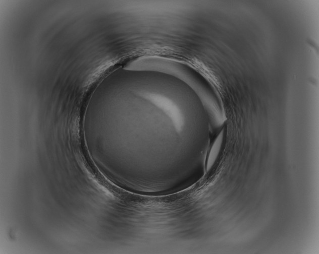 X0000091200581200709061415