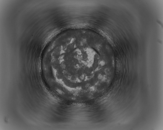 X0000091200582200709061415