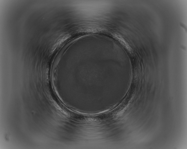 X0000091200585200709061415