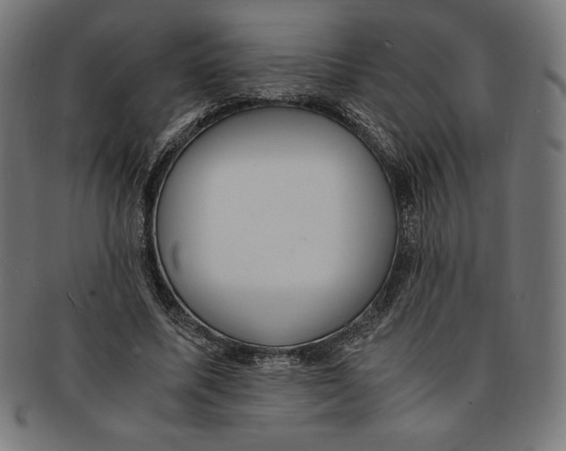 X0000091200587200709061415