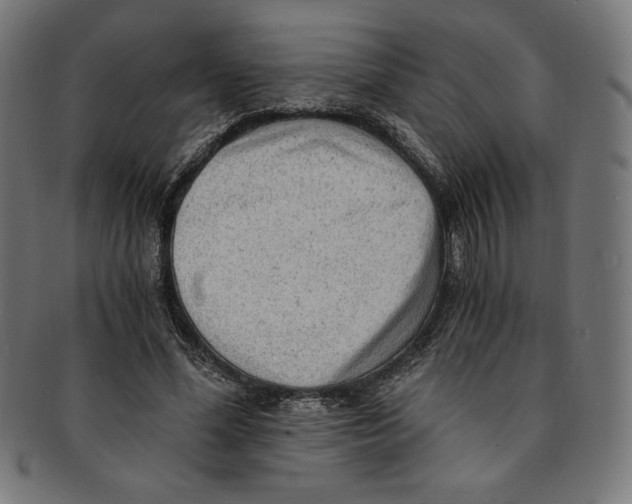 X0000091200588200709061415