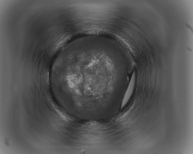 X0000091200589200709061415