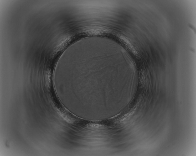 X0000091200590200709061415