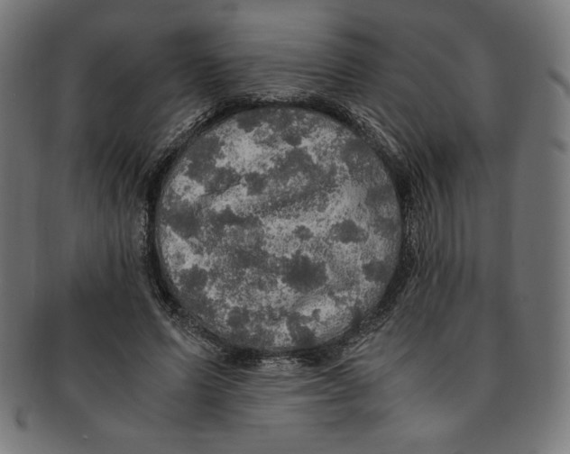 X0000091200591200709061415